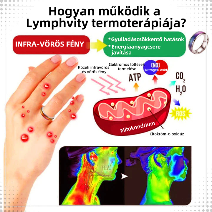 đŻđđđđđđâąHĆterĂĄpiĂĄs MĂ©regtelenĂtĆ TestgyƱrƱ (KorlĂĄtozott ideig tartĂł kedvezmĂ©ny đ„ utolsĂł nap) đ