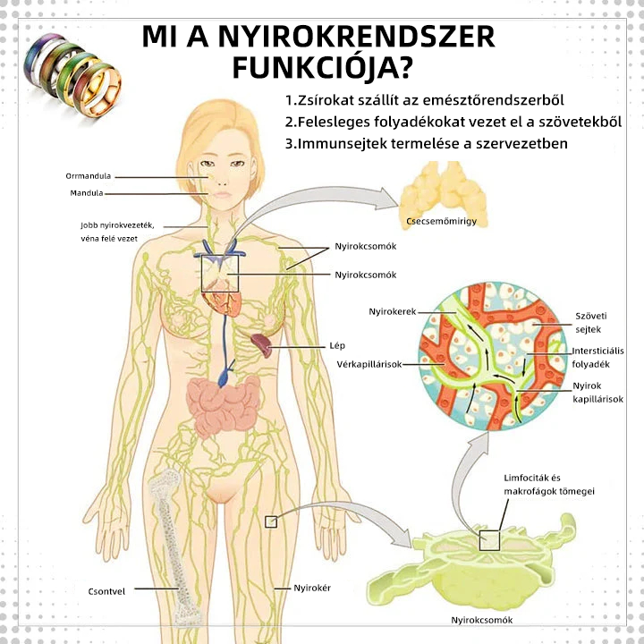 đŻđđđđđđâąHĆterĂĄpiĂĄs MĂ©regtelenĂtĆ TestgyƱrƱ (KorlĂĄtozott ideig tartĂł kedvezmĂ©ny đ„ utolsĂł nap) đ