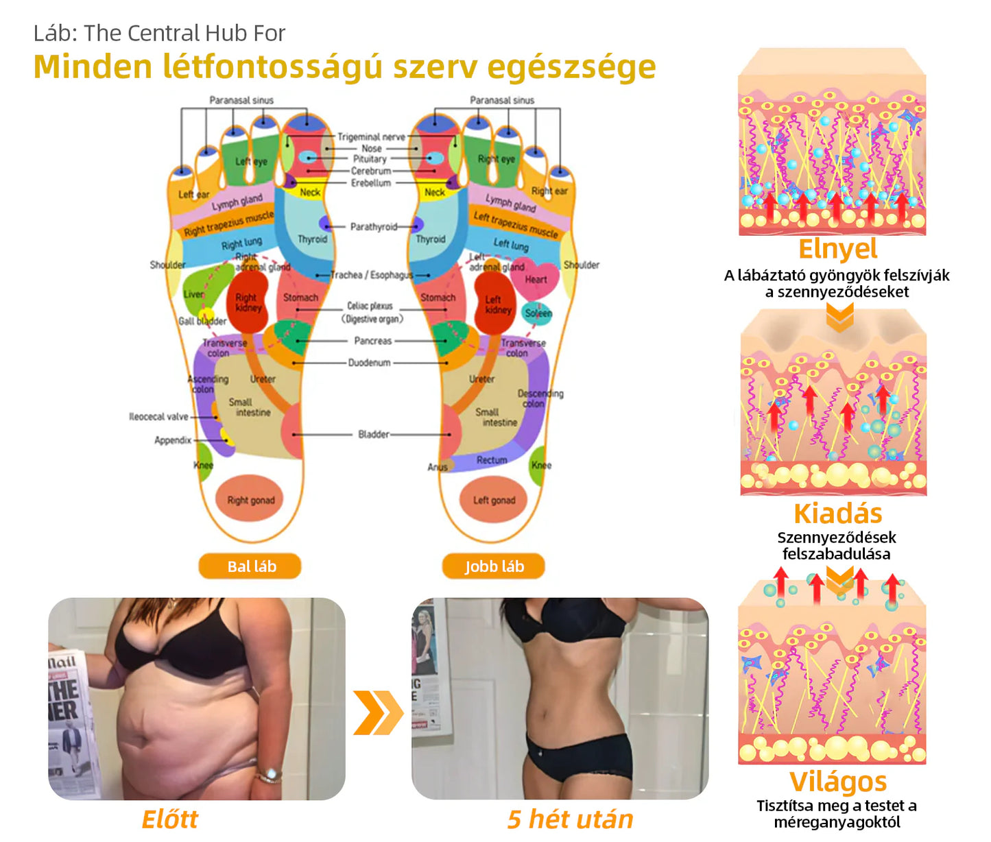 đPurefeetâą 30-gyĂłgynövĂ©nyes fogyĂłkĂșrĂĄs Ă©s mĂ©regtelenĂtĆ lĂĄbfĂŒrdĆ gyöngy - Orvos ĂĄltal javasolt - Minden nyirokproblĂ©mĂĄra Ă©s elhĂzĂĄsra alkalmas -đCE tanĂșsĂtvĂĄnnyalđ